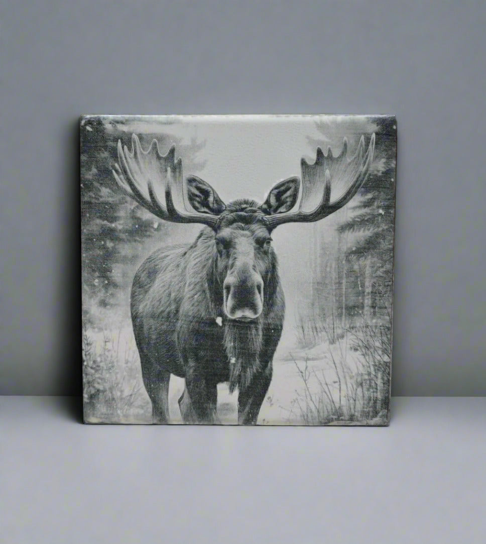 kit 4 Azulejos com tema de natureza - Finngifts