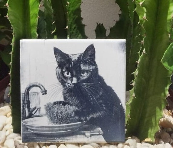 Kit 4 azulejos de gatos pretos - Finngifts