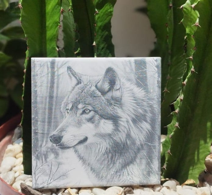 kit 4 Azulejos com tema de natureza - Finngifts