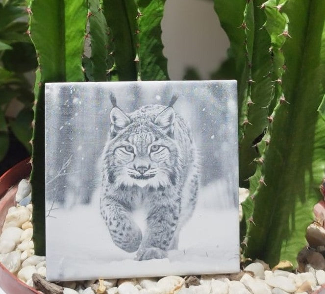 kit 4 Azulejos com tema de natureza - Finngifts