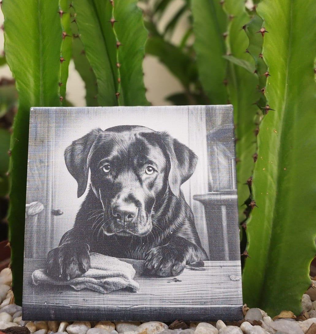 Kit 4 azulejos de labradores preto - Finngifts