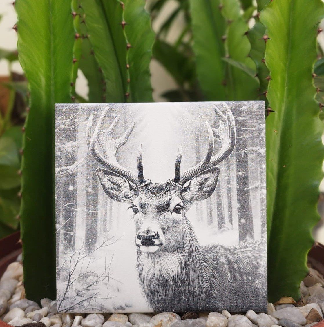 kit 4 Azulejos com tema de natureza - Finngifts
