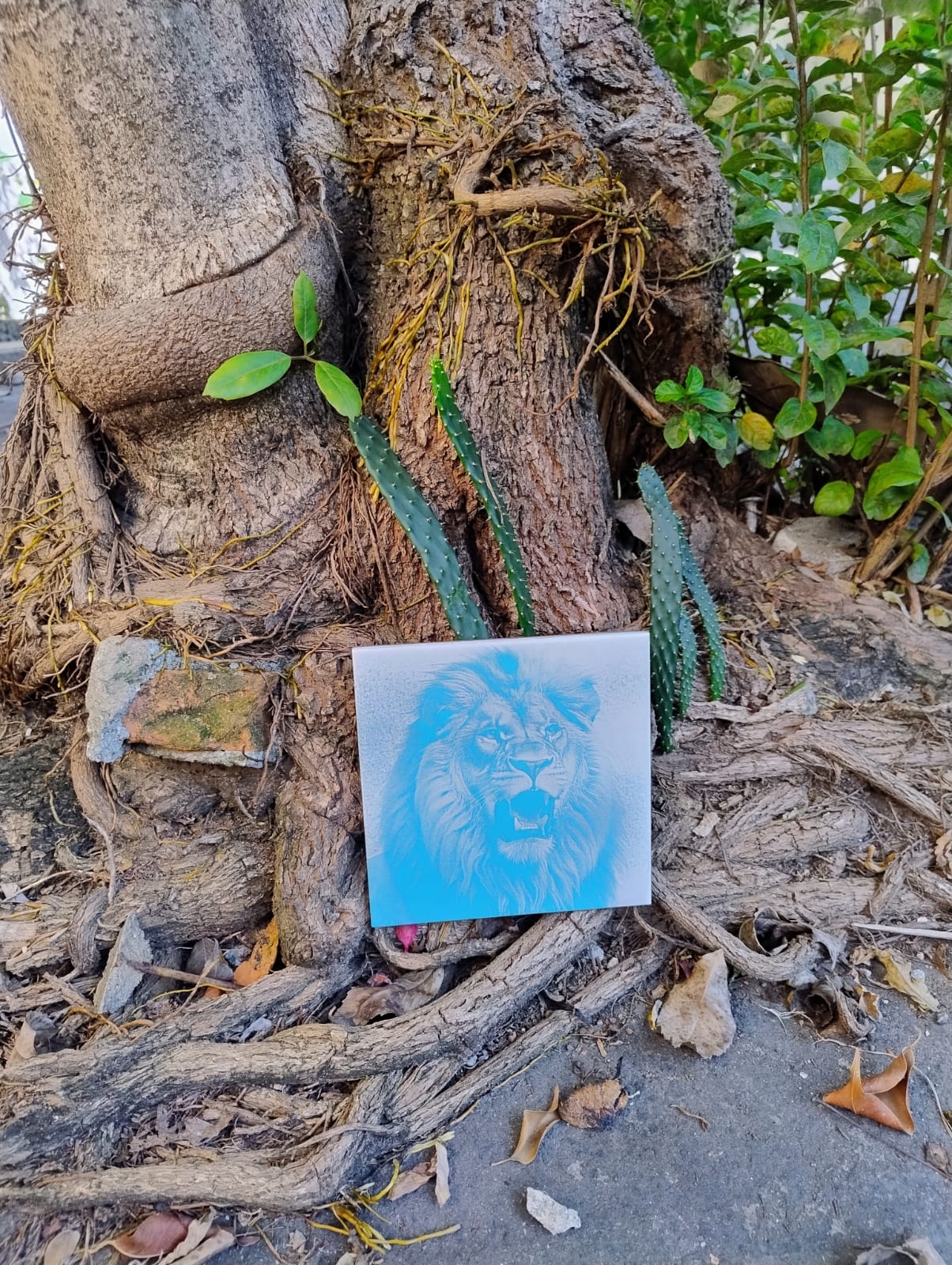 O leão azul ruge azulejo. - Finngifts