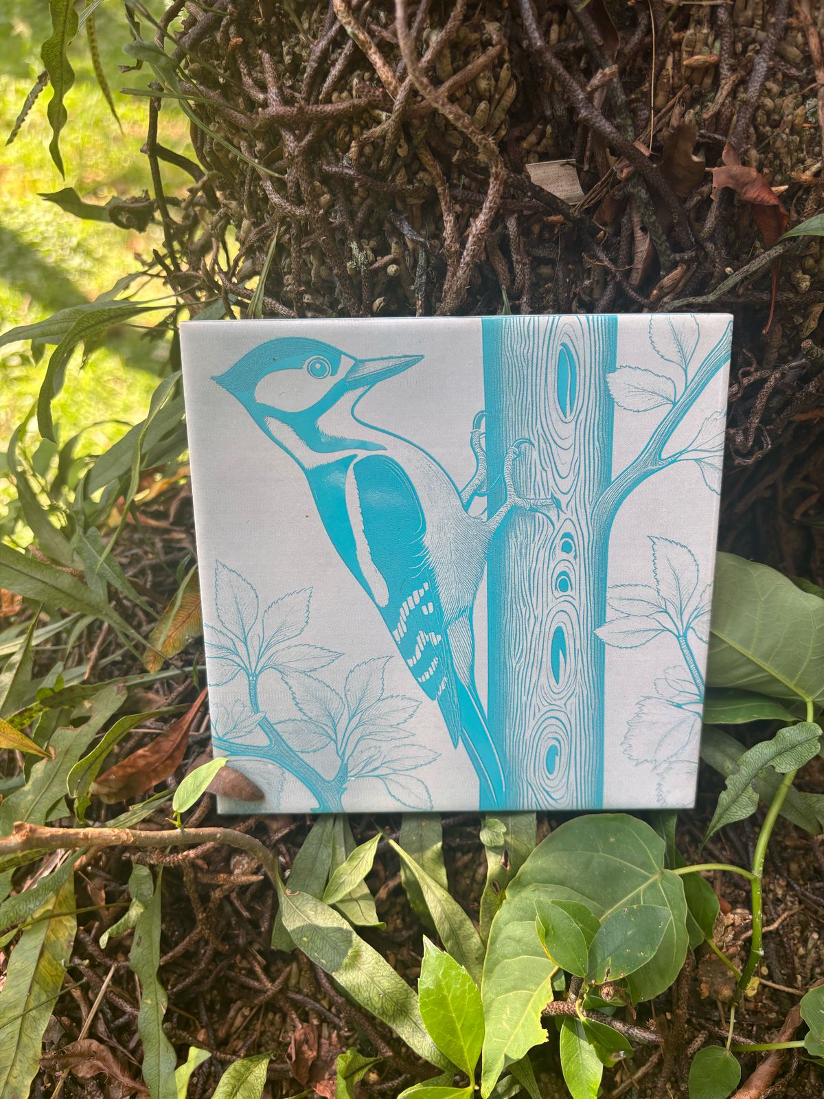 Pica-pau azul azulejo - Finngifts
