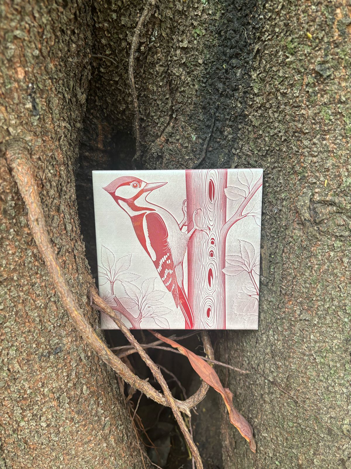 Pica-pau vermelho Azulejo - Finngifts
