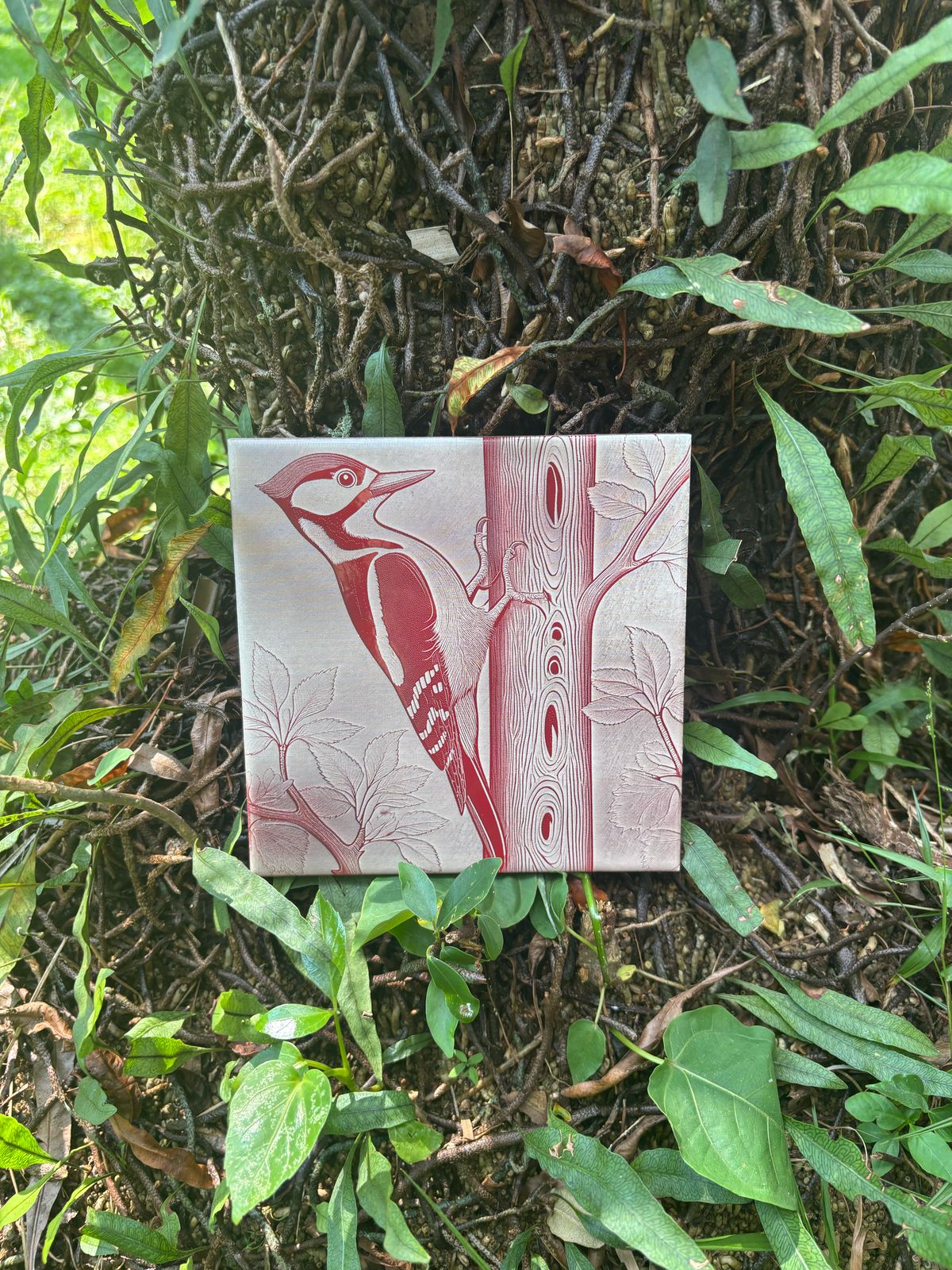 Pica-pau vermelho Azulejo - Finngifts